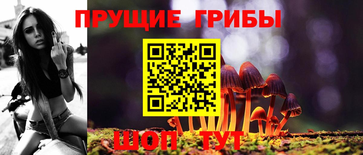 Галлюциногенные грибы мухоморы Курчалой