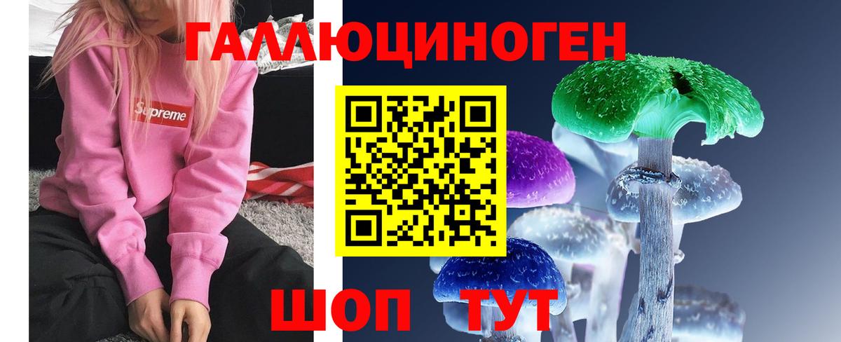Галлюциногенные грибы Cubensis  Вход с VPN  как найти   Курчалой 